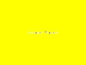 Customer Process-2779.png