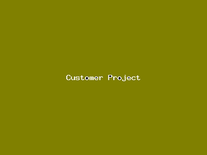 Customer Project-3185.png