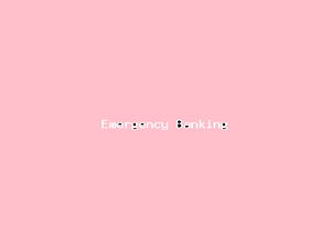 Emergency Banking-155.png