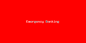 Emergency Banking-354.png