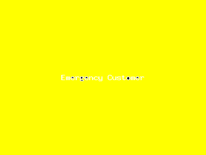 Emergency Customer-3667.png