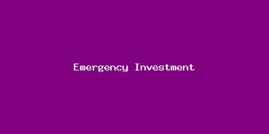 Emergency Investment-1387.png