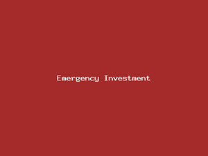 Emergency Investment-651.png