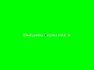 Emergency Organization-3313.png