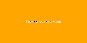 Emergency Overview-4630.png