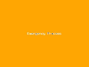 Emergency Process-2411.png