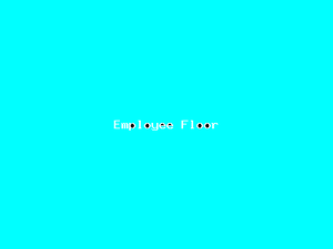 Employee Floor-2676.png