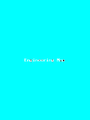 Thumbnail for version as of 13:55, 2 June 2026