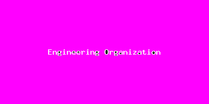 Engineering Organization-947.png