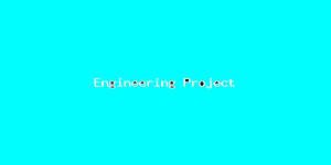 Engineering Project-2924.png