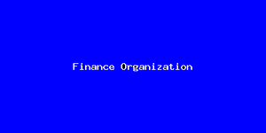 Finance Organization-610.png