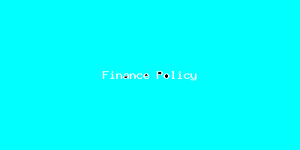 Finance Policy-502.png