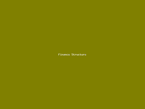 Finance Structure-3273.png