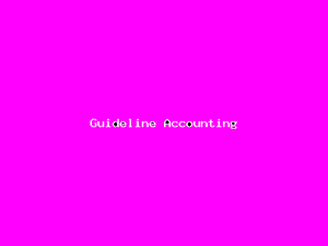 Guideline Accounting-1292.png