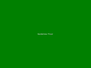 Guideline Floor-2264.png