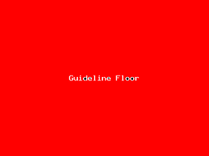 Guideline Floor-4051.png