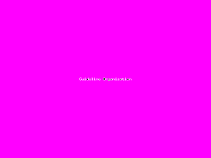 Guideline Organization-3692.png