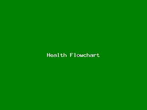 Health Flowchart-2048.png
