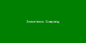 Insurance Company-47.png