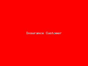 Insurance Customer-3531.png