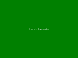 Insurance Organization-1132.png