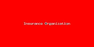 Insurance Organization-2879.png