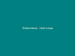 Insurance Overview-3053.png