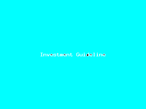 Investment Guideline-749.png