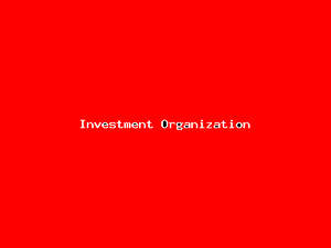 Investment Organization-3509.png