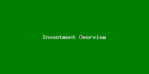 Investment Overview-4984.png