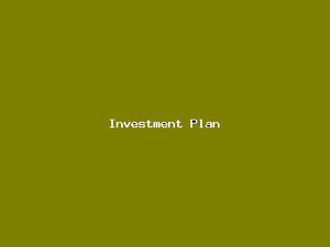 Investment Plan-638.png
