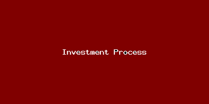 Investment Process-811.png