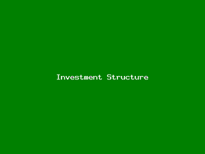 Investment Structure-2810.png