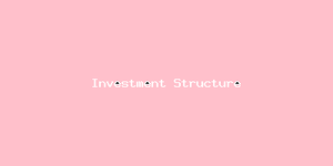 Investment Structure-4269.png