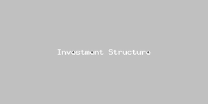 Investment Structure-4957.png
