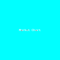 Thumbnail for version as of 13:50, 2 June 2026