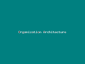 Organization Architecture-1722.png