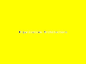 Organization Architecture-2067.png