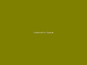 Organization Diagram-1134.png