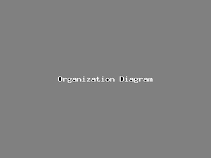 Organization Diagram-2679.png
