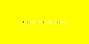 Organization Emergency-4021.png