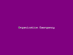 Organization Emergency-4435.png