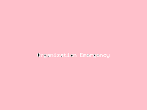 Organization Emergency-4650.png