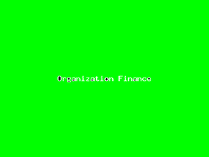 Organization Finance-3997.png