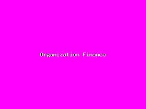 Organization Finance-4888.png