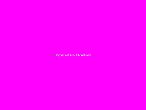 Organization Flowchart-3113.png