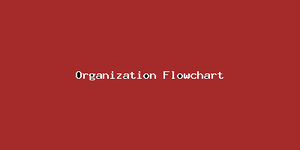 Organization Flowchart-4566.png