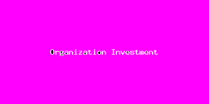 Organization Investment-3677.png