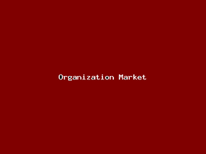 Organization Market-1619.png