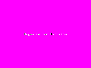 Organization Overview-4600.png